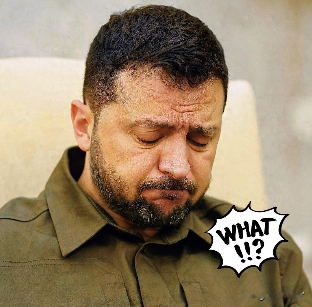 美国催乌克兰尽快与俄作出停火决定，没想到泽连斯基把心里话都说出来了。

​据新华