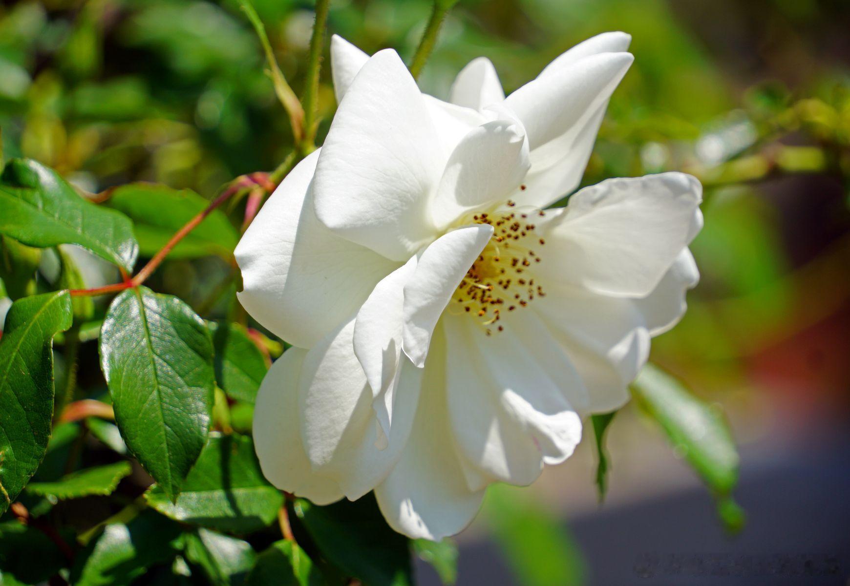 【激励与约束｜股权激励中的竞业限制，必须厘清的三大区别】核心观点：股权激励中的竞