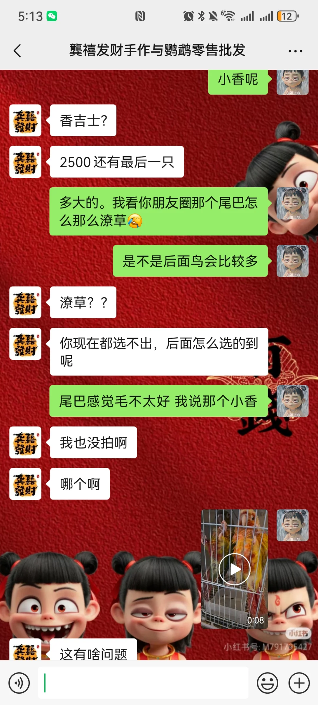 杭州鹦鹉避雷，我说尾巴潦草有什么不对吗？