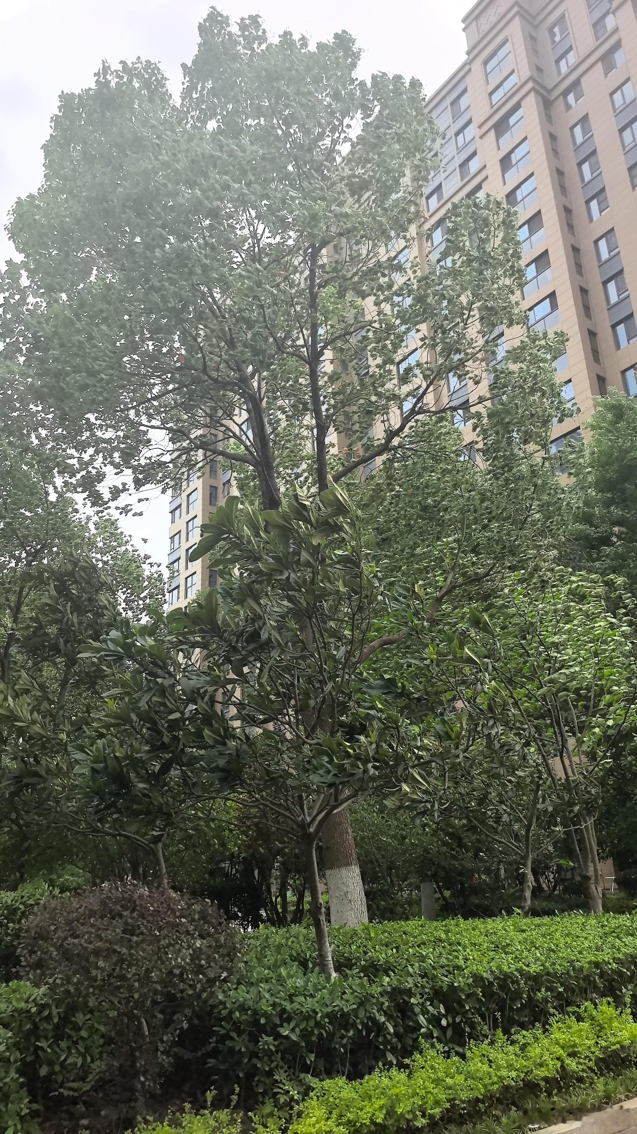 🌀台风来了，今天我值班 
