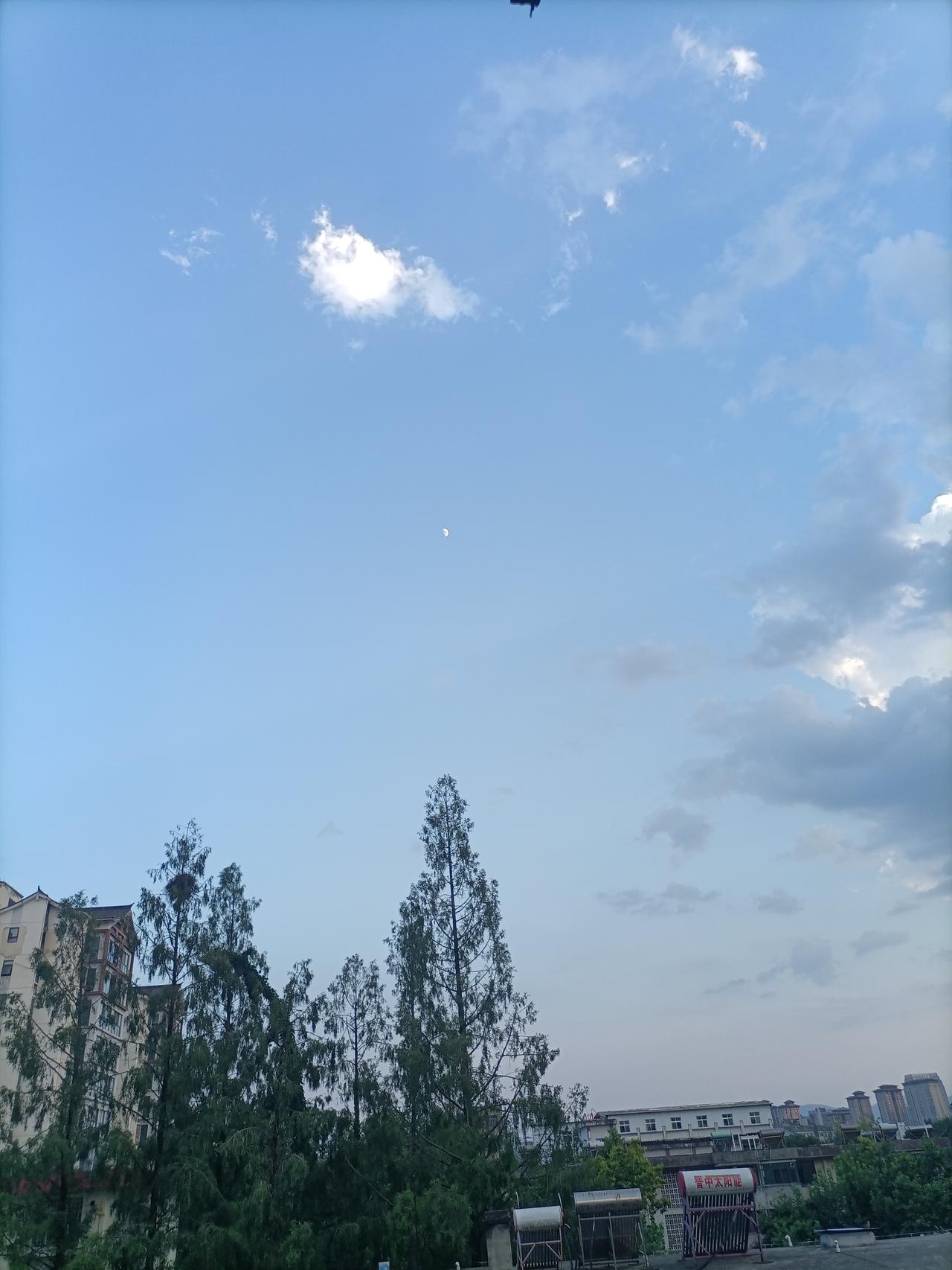 【夏之韵·人生最好的时间】夏日生活打卡季
人生最好的一天，永远是今天；人生最好的