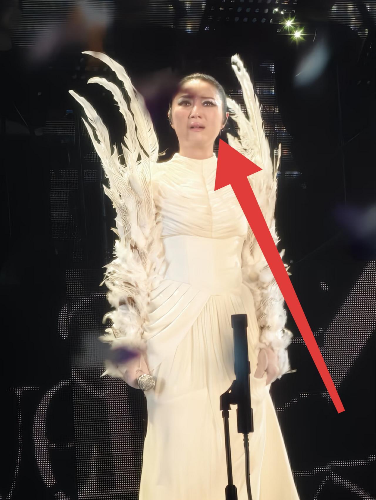 有没有人跟杨千嬅说过，
她52岁了，
开演唱会穿得体就行，没必要搞这些花里花哨的