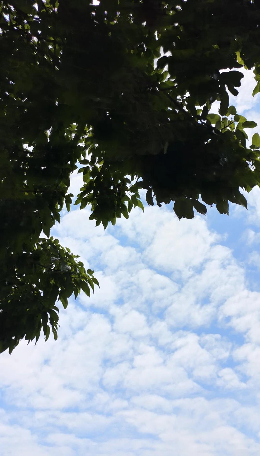终于出太阳啦
天气好的时候 有阳光的日子