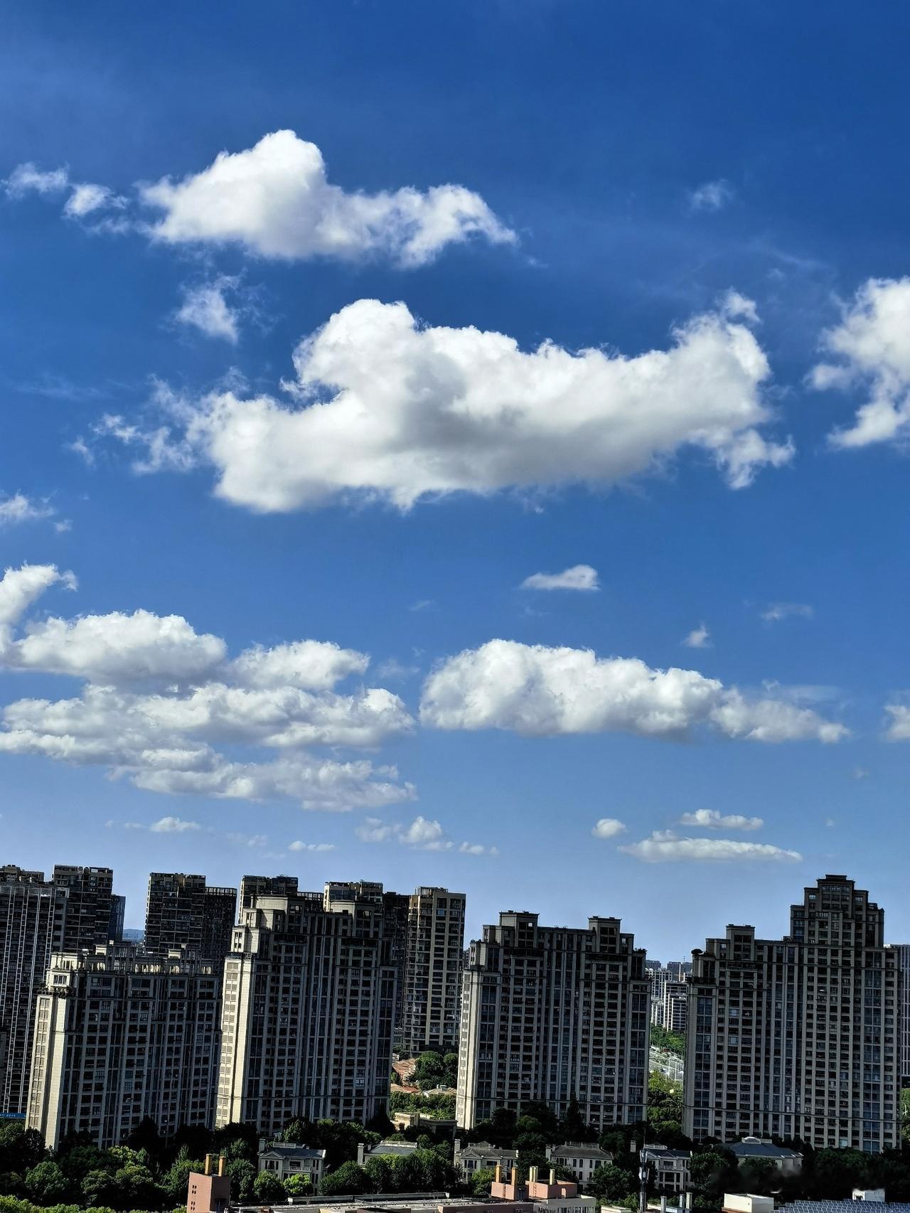 三伏天的天空，干净高远

三伏天的盛夏，热浪滚滚，却意外赠予了我们最美的“水晶天