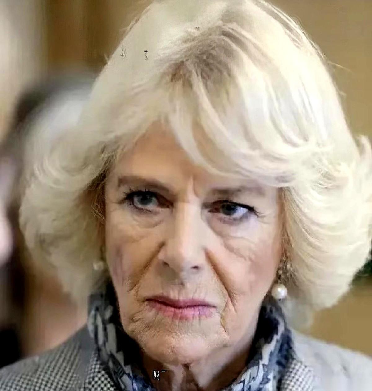 王后卡米拉的宝座，最该感谢的不是国王，而是梅根。
要是没这颗“炸弹”进来，戴安娜