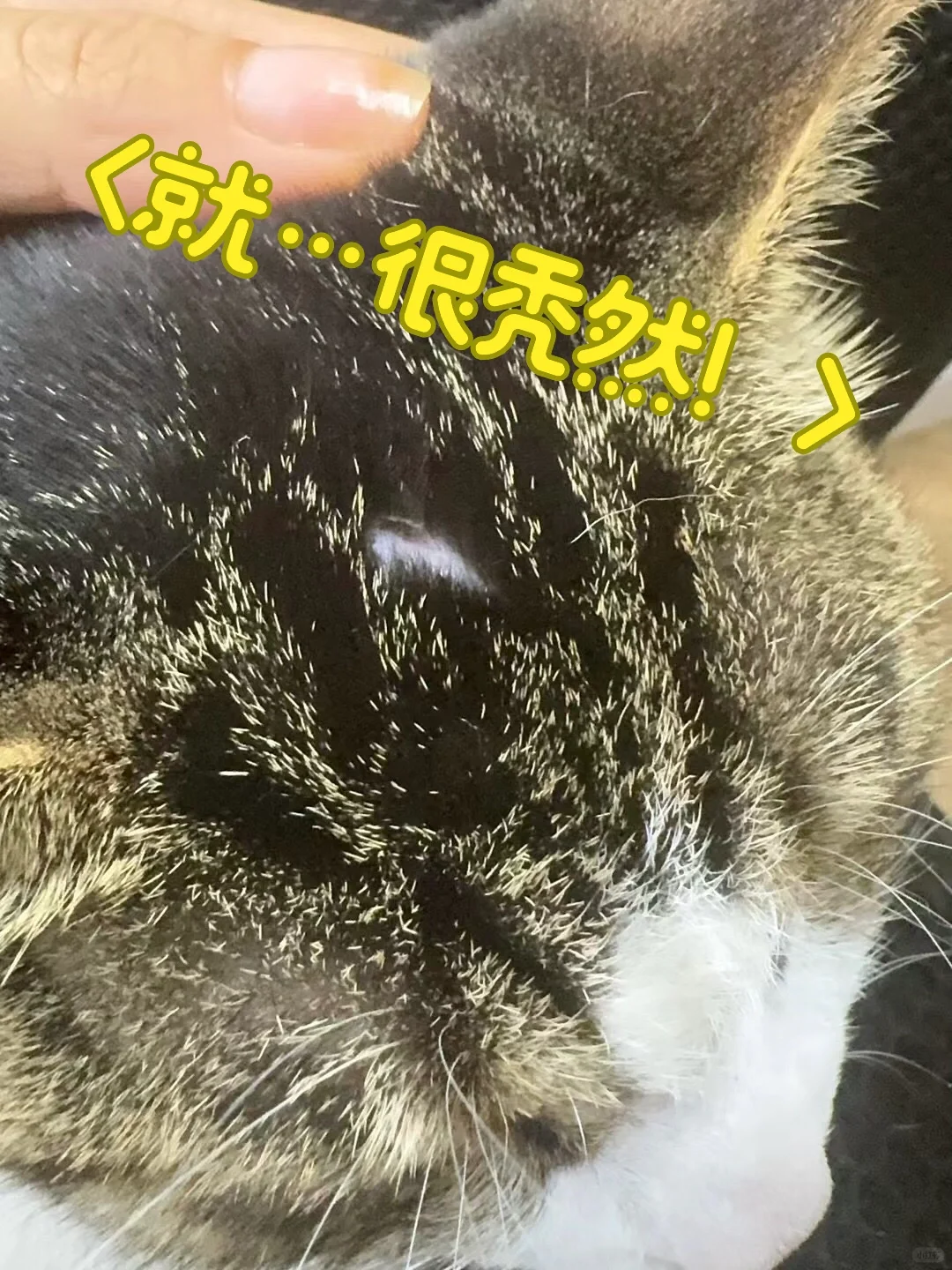 没人知道他经历了什么