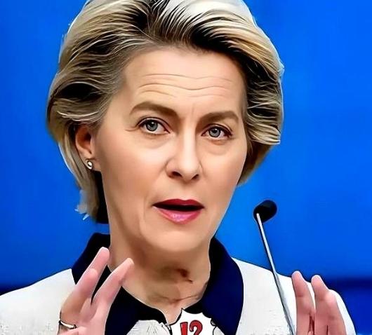 冯德莱恩傻眼了！本想制裁俄罗斯时敲打中国，却反倒伤了自家命门

“24小时闪电反