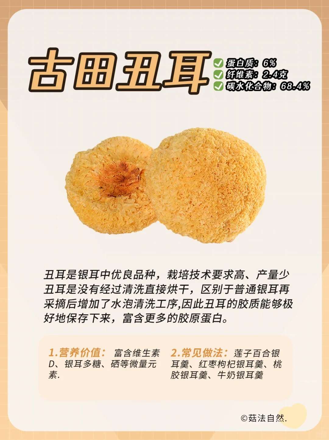 🔥每日菌菇科普——古田丑耳❗️