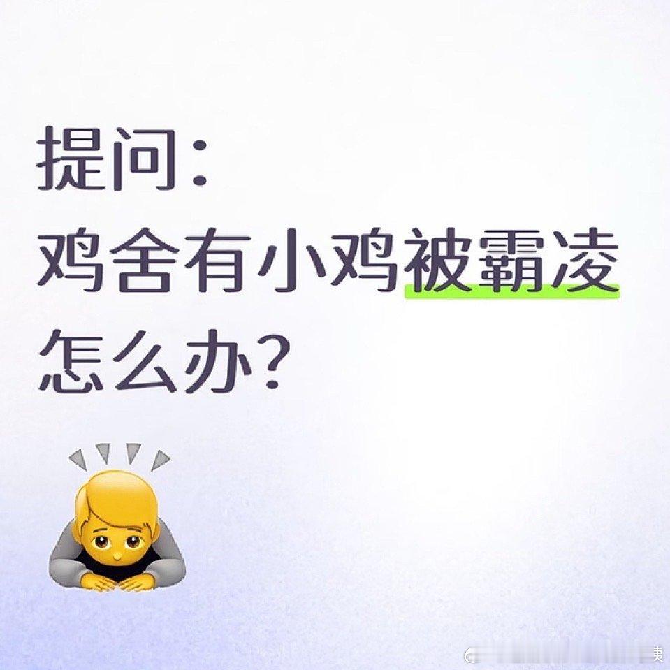 王俊凯在线提问王俊凯在鸡舍也得劝架王俊凯在鸡舍也得劝架 