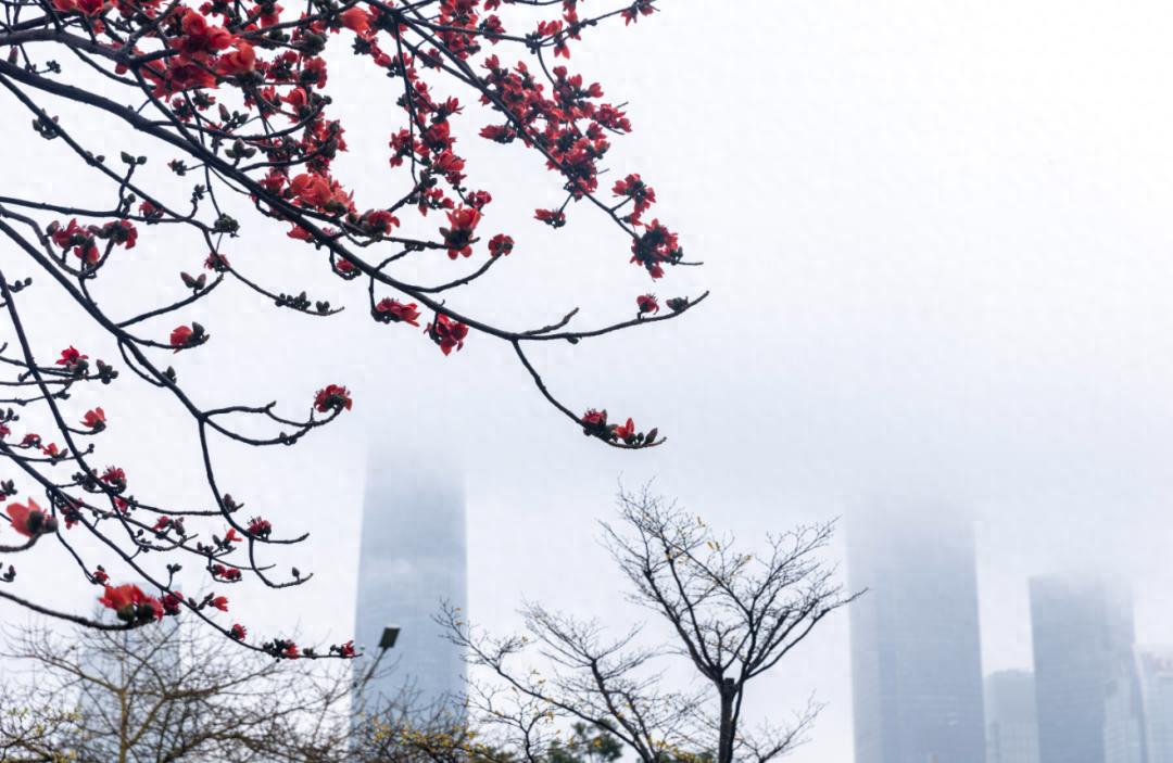 冷空气今天到！广东还有大雨暴雨，广州最新天气预报