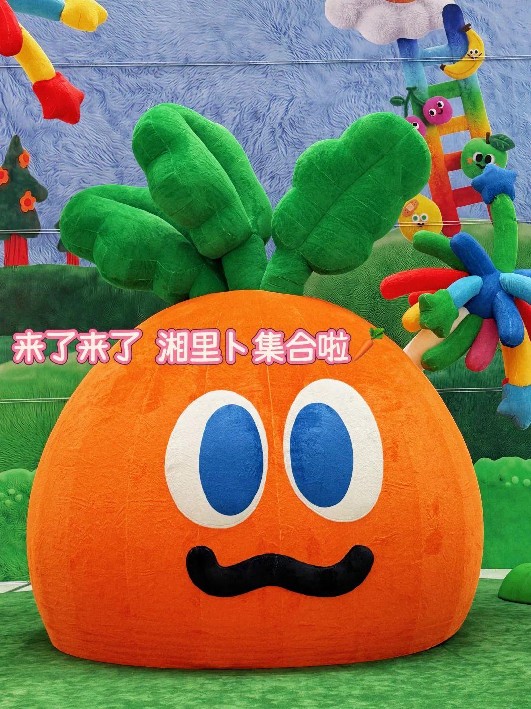 五月天 | 阿信说的‘深夜胡萝卜’，到底什么梗