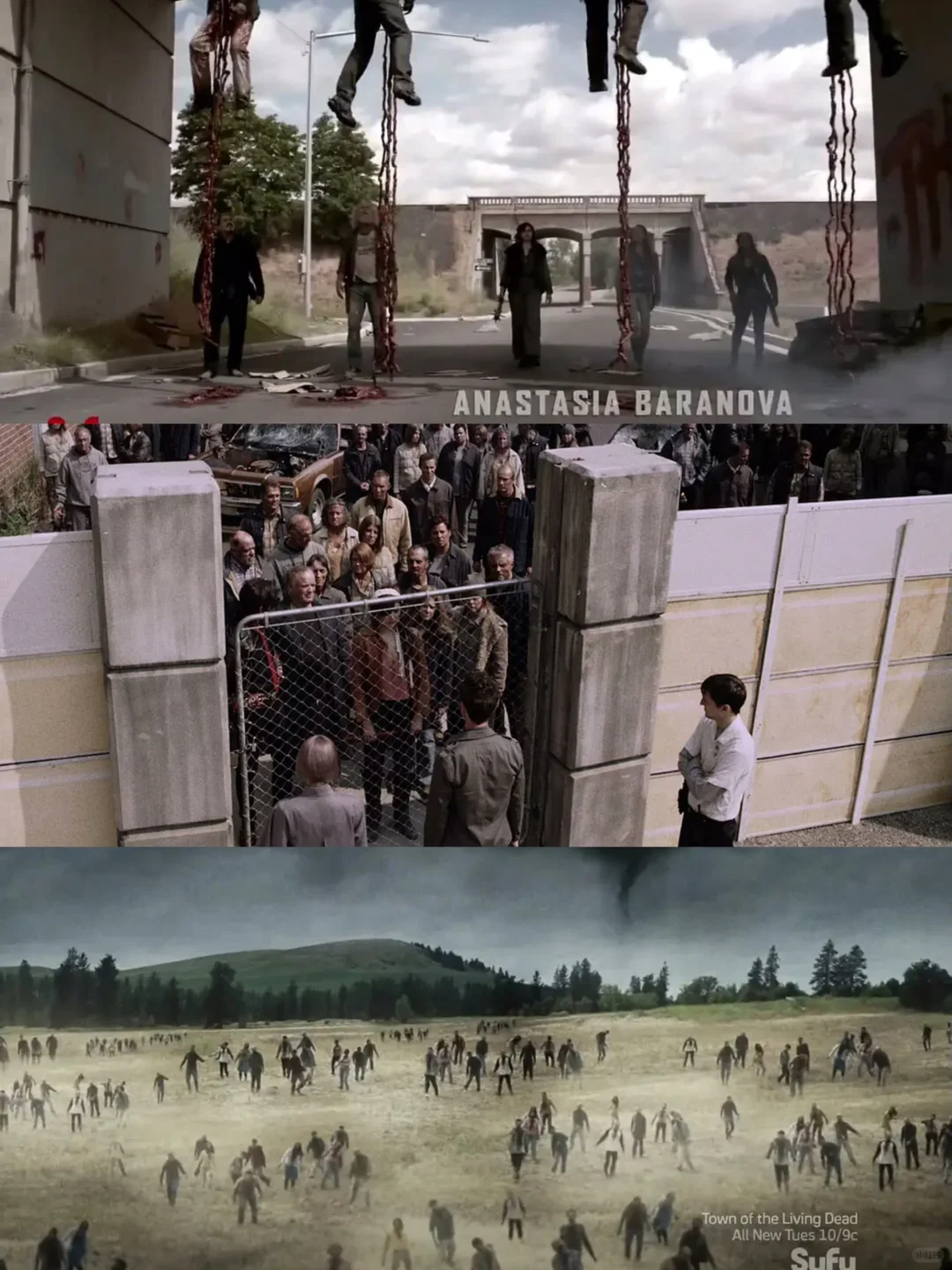 豆瓣高分冷门丧尸片🔥墙推