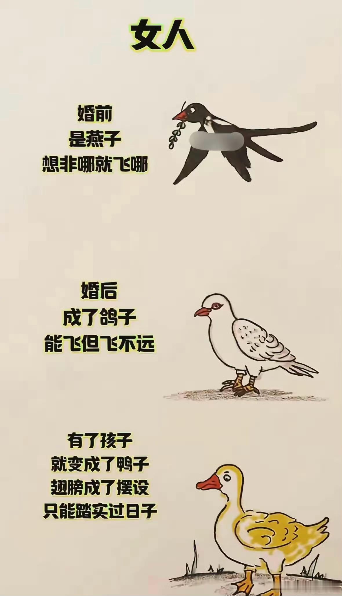 这也太形象了吧！ ​​​