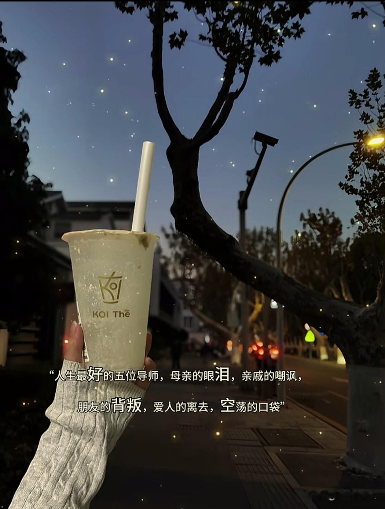 人生最好的五位导师:
母亲的眼泪，亲戚的嘲讽，
朋友的背叛，爱人的离去，空荡的口