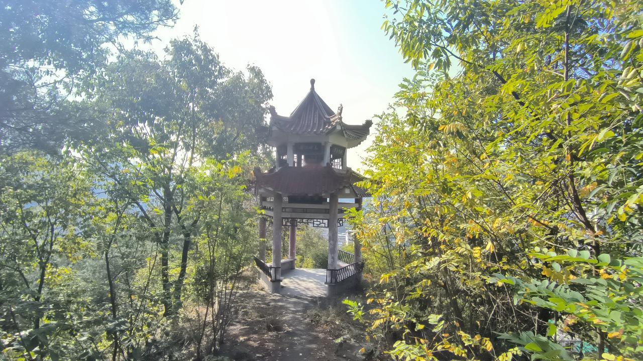 #随手记录公园风景#某别墅区私家花园内的“景胜亭”。