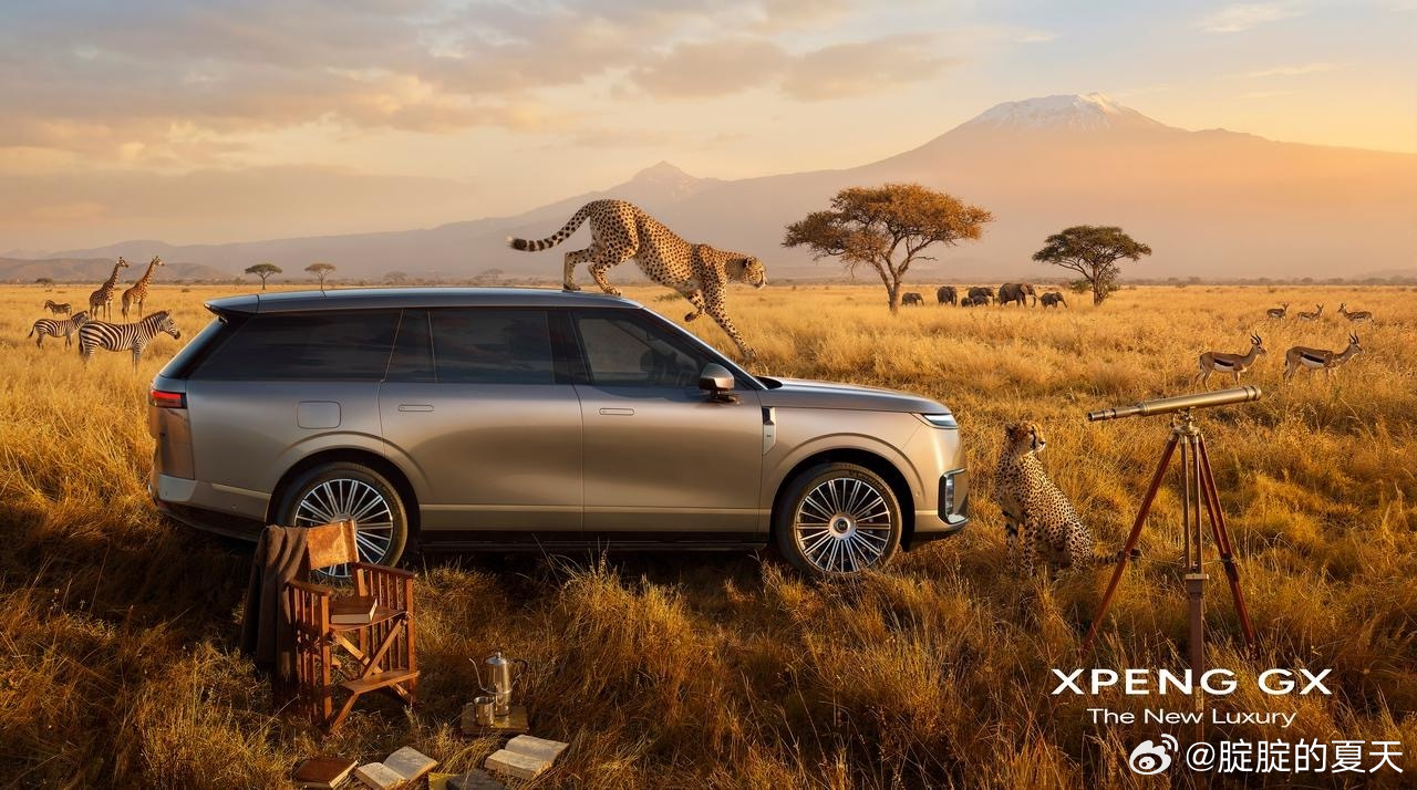 鹏子终于是把自己的大六座推出来了，定位明显比G9更高，但是名字不好用回去了，所以