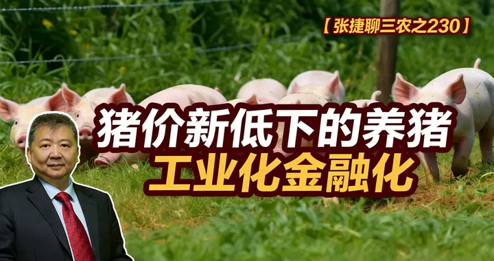张捷财经观察 | 猪价新低下的养猪工业化金融化
