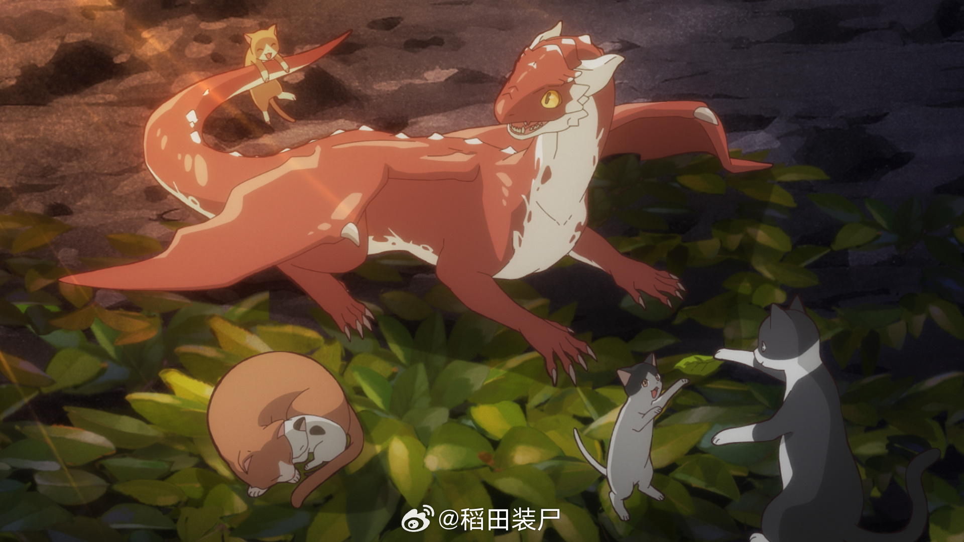 夏季新番『猫与龙』01 