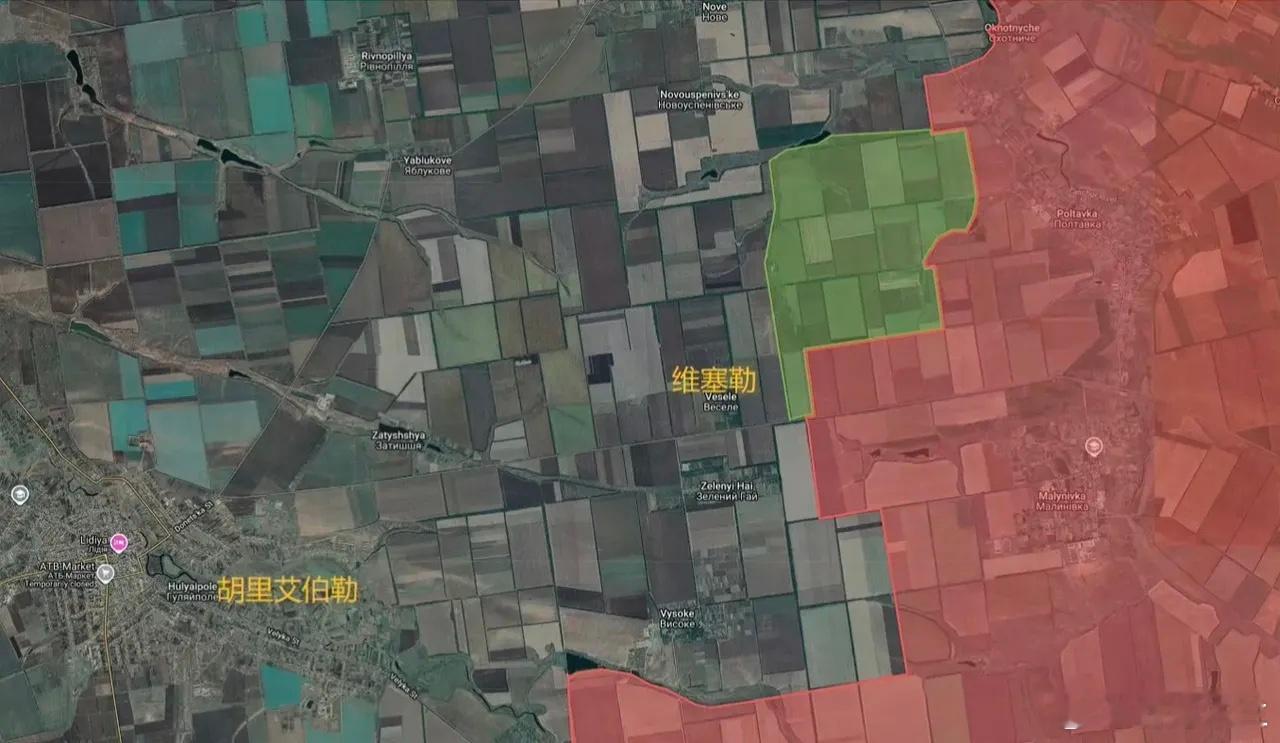 俄军东部集群在维塞勒东北向前推进，占领了大片野地，对维塞勒开始攻击，进一步逼近古