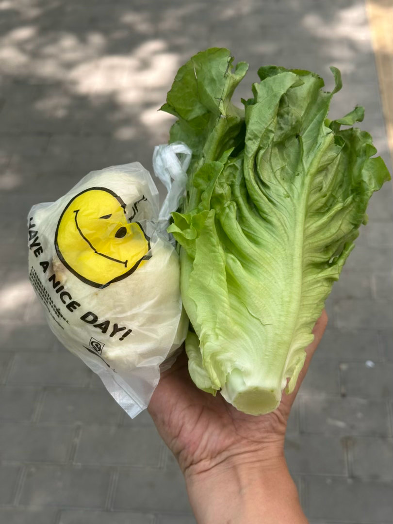 今天午饭只花了8元……两个肉包子加一把菜叶，家里有腐乳
