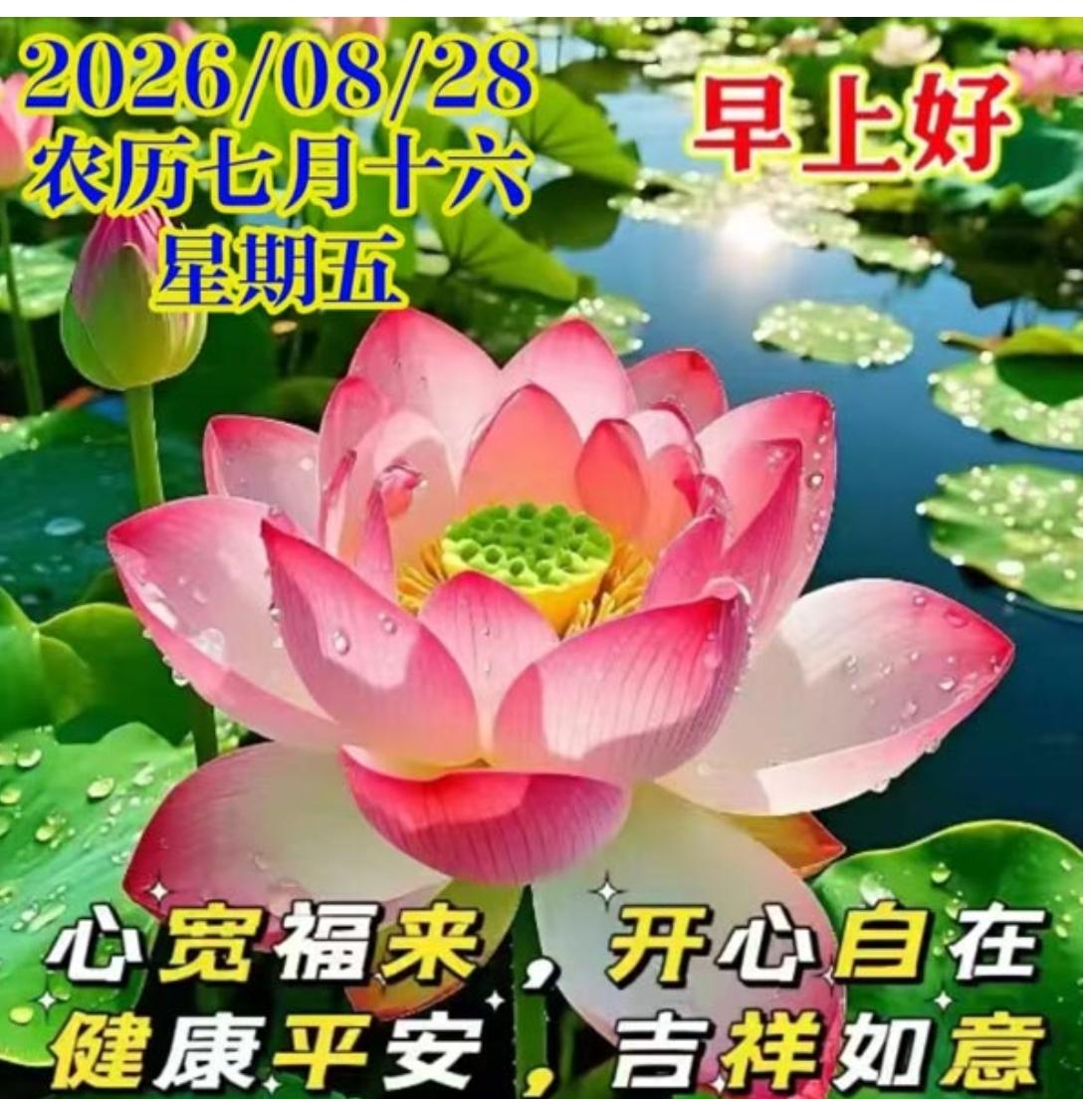 秋晨问候送吉祥，
幸福安康喜洋洋；
吉祥如意伴左右，
福星高照家和睦；
事业顺利