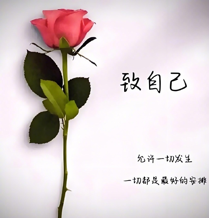 “你的人生，没有白走的路。”—— 别后悔过去，每一步都有意义。 ​​​