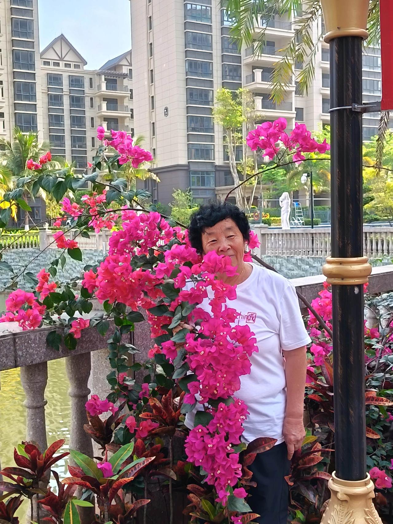 春天来了花儿又开了一一