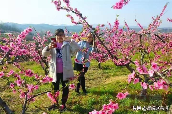 捣练子·春景佳人
春风暖，艳阳高，
桃花灼灼暗香飘。
倩影立留花树下，
漫山锦绣