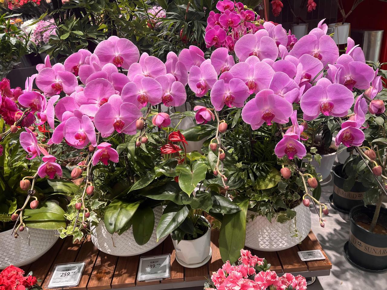 现在涨停都是一批一批的了，
继前天海南板块大面积涨停后，
今天商业航天也是批量上