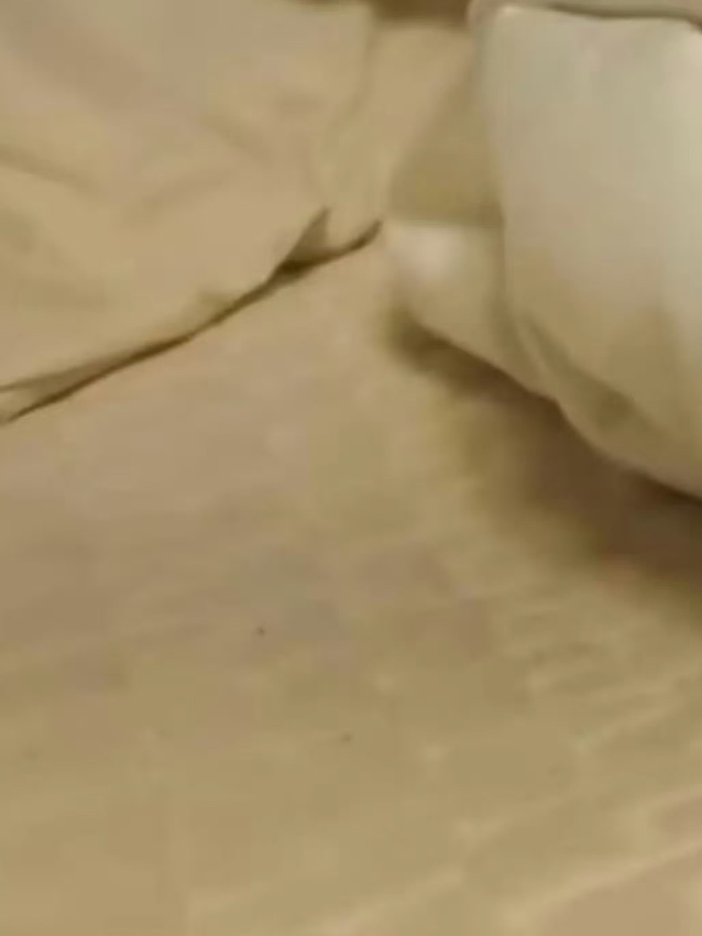 cortis金主训的床单是渐变色的 ​​​