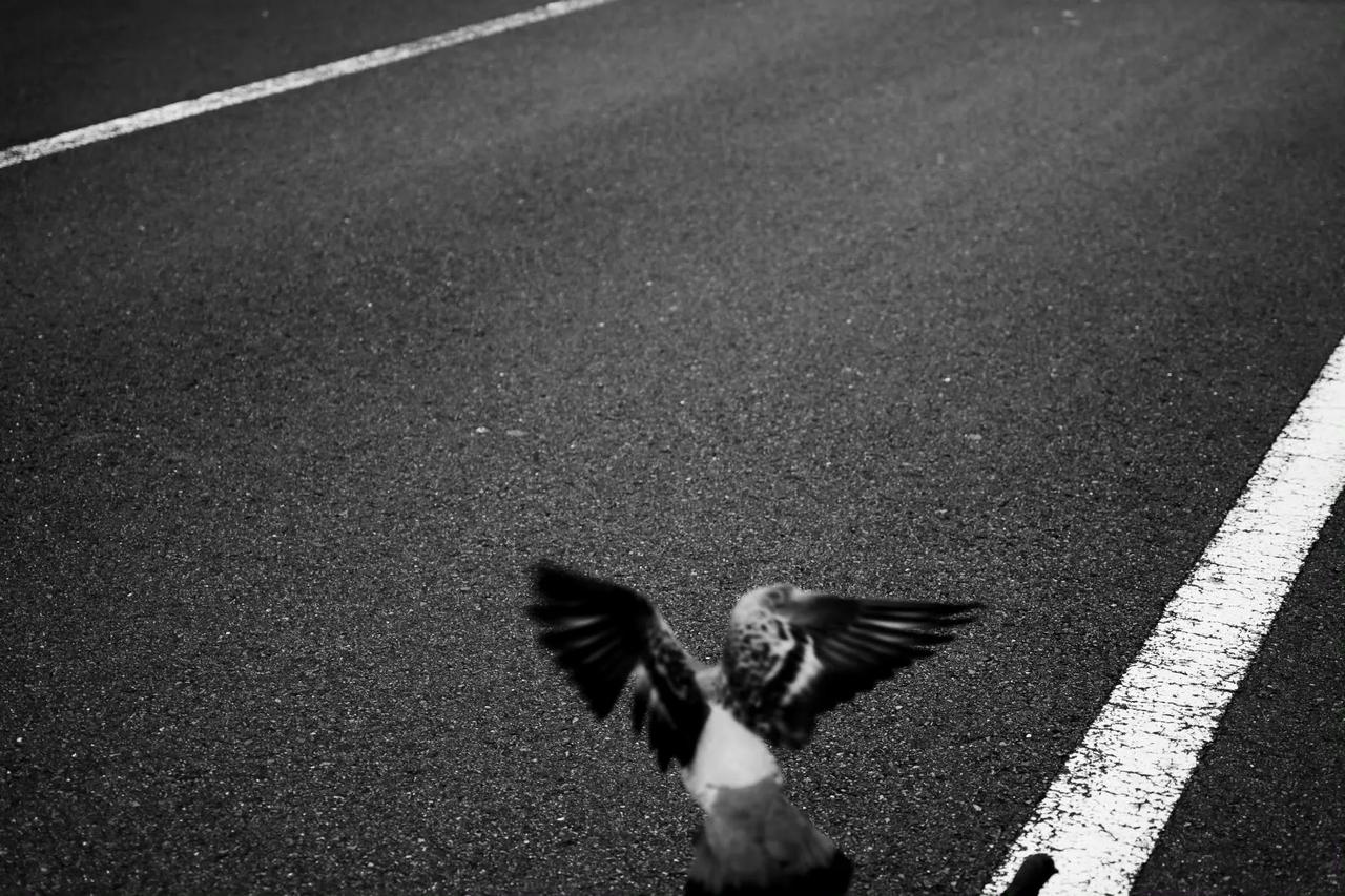 看到100万套城中村危房改造就在那激动的屁颠颠的人，基本上都是一脸韭菜像。
10