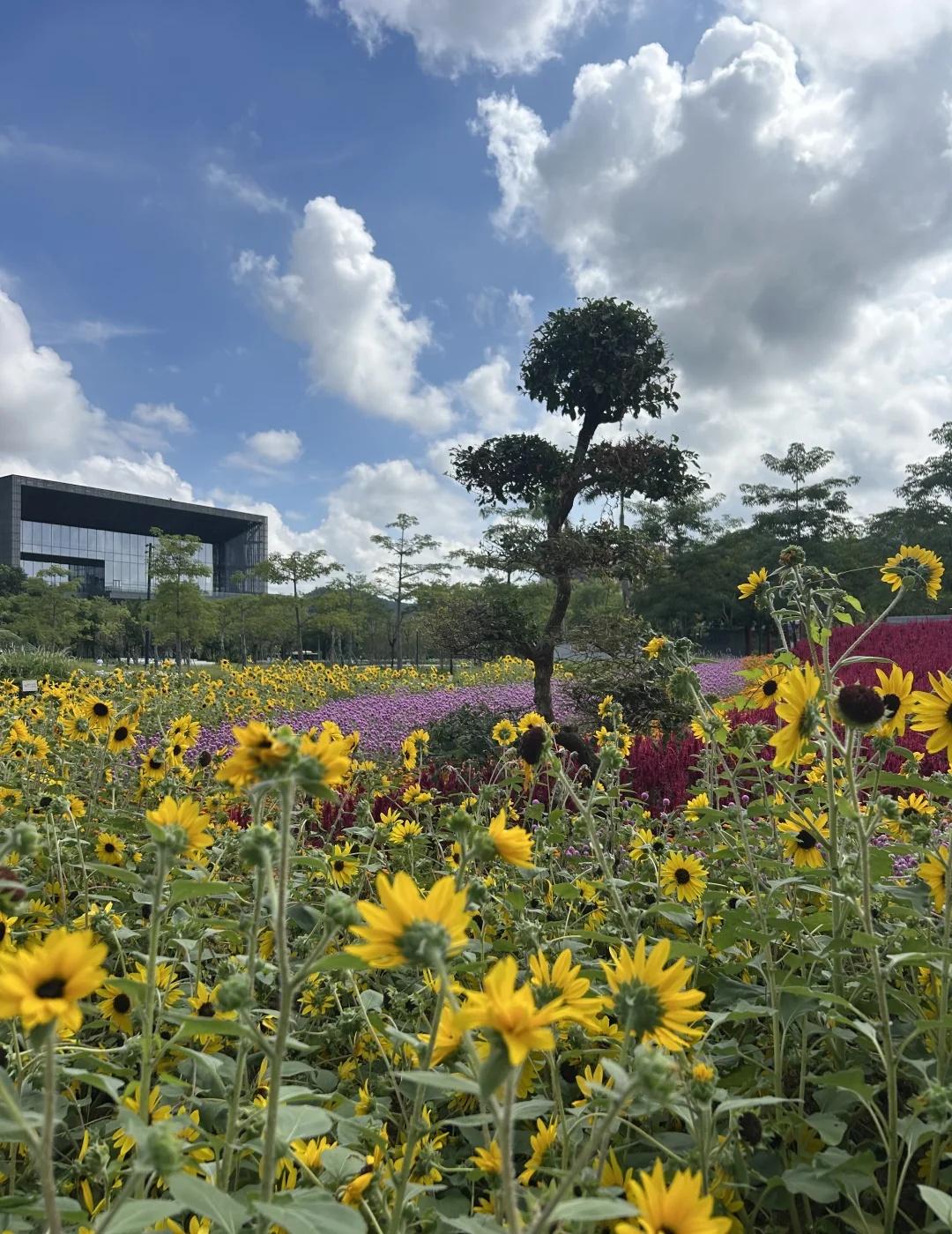 你觉得广州是个什么样的城市呢？
在广州规划展览馆里面看了看，真的被广州惊艳到了，
