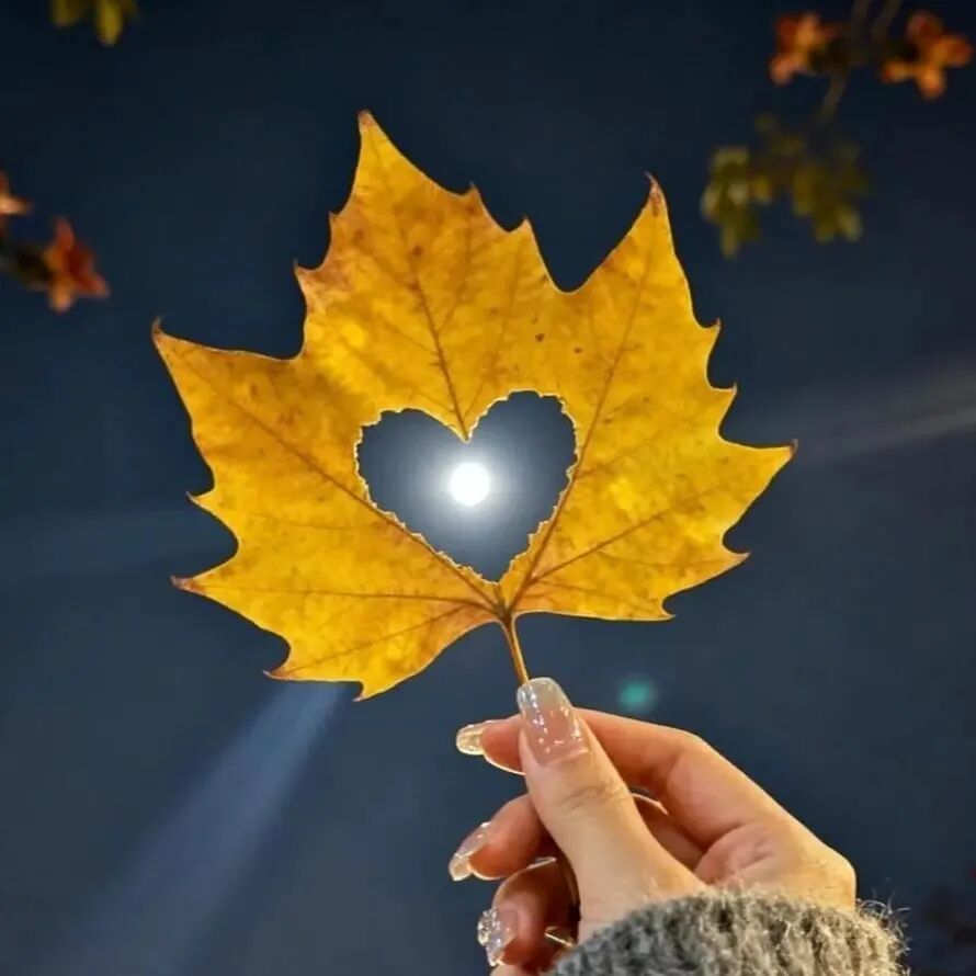 𝐇ɪ̆̈ 𝐥𝐢𝐟𝐞 ☁“过去三言两语泛波澜，现在万水千山不动情” 