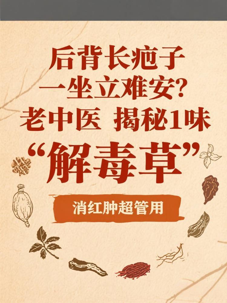 后背长疖子坐立难安？老中医揭秘1味“解毒草”，消红肿超管用🌿 

最近接诊个白