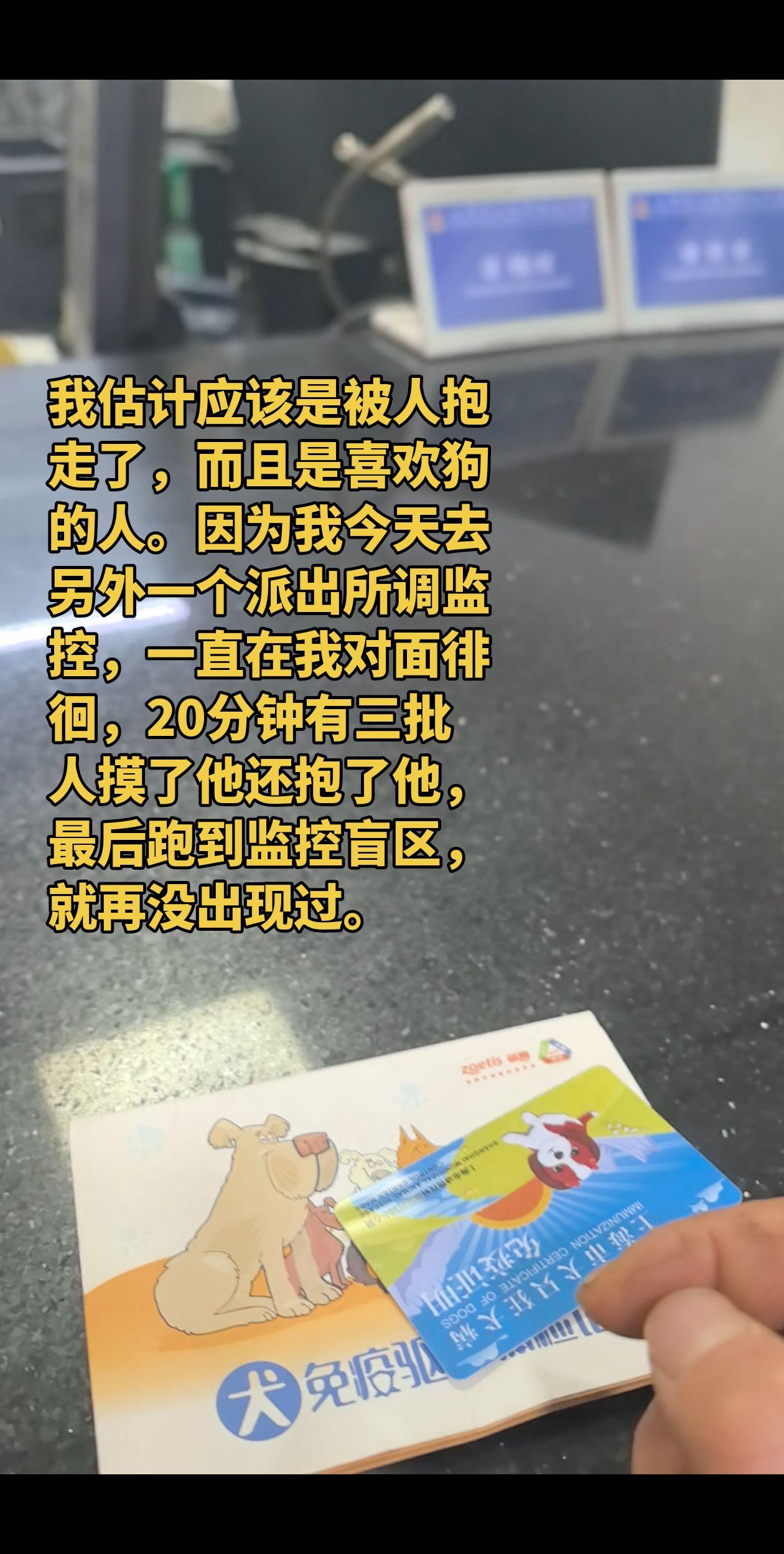 估计80%被别人抱走了，因为元宝很亲人