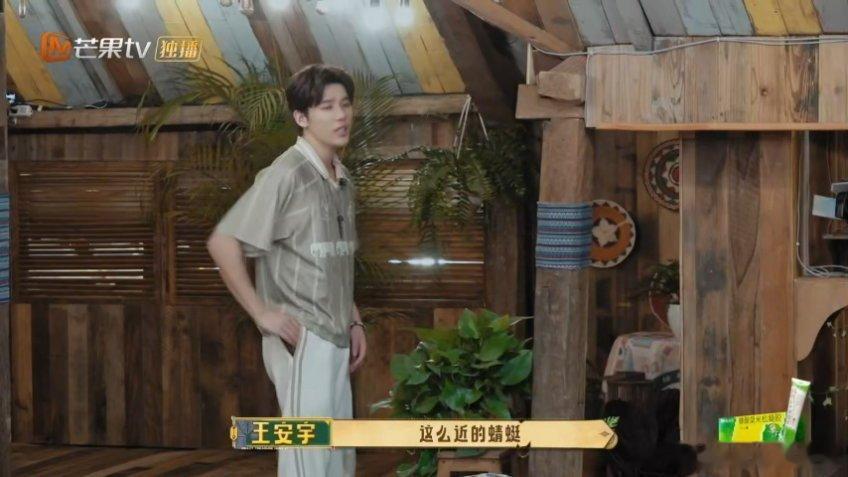 第一次见王安宇被吓成这样 谁懂啊王安宇被蜻蜓吓飞这段我反复拉进度条！！一开始：从