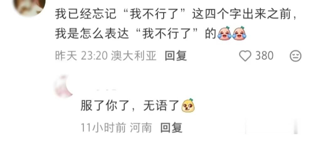 自从“我没招了”出现后我就是全世界最没招的人 