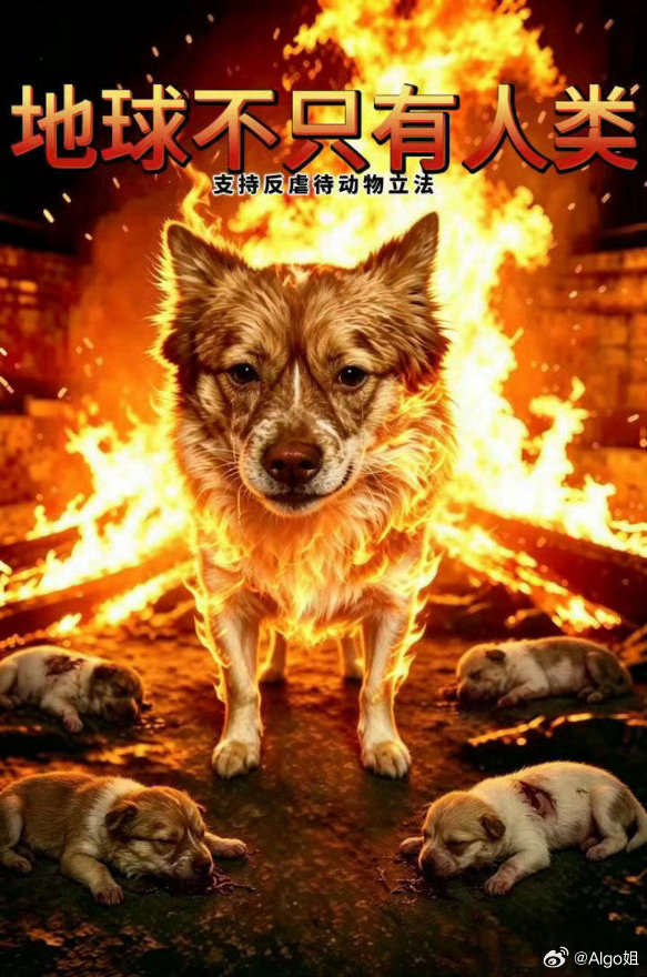地球不只有人类，地球也不只属于精英！反对虐杀 反对任何反人类的极端行为 关联阅读