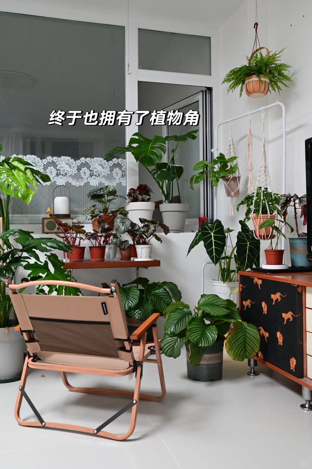 60分居住提案/给租了10年的院子装修后～