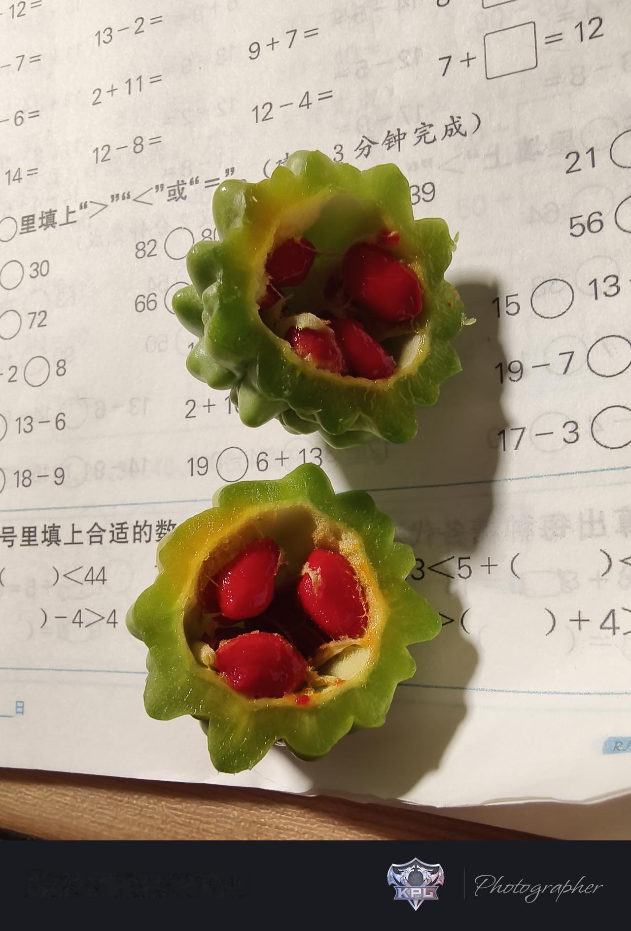 嗷嗷春游记的一天
学校组织去增城欢乐湾，有机动游戏也有无动力游戏，210元一人，