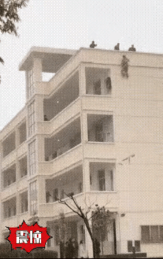 这是最温馨的一踹，胜过苦口婆心的千言万语。