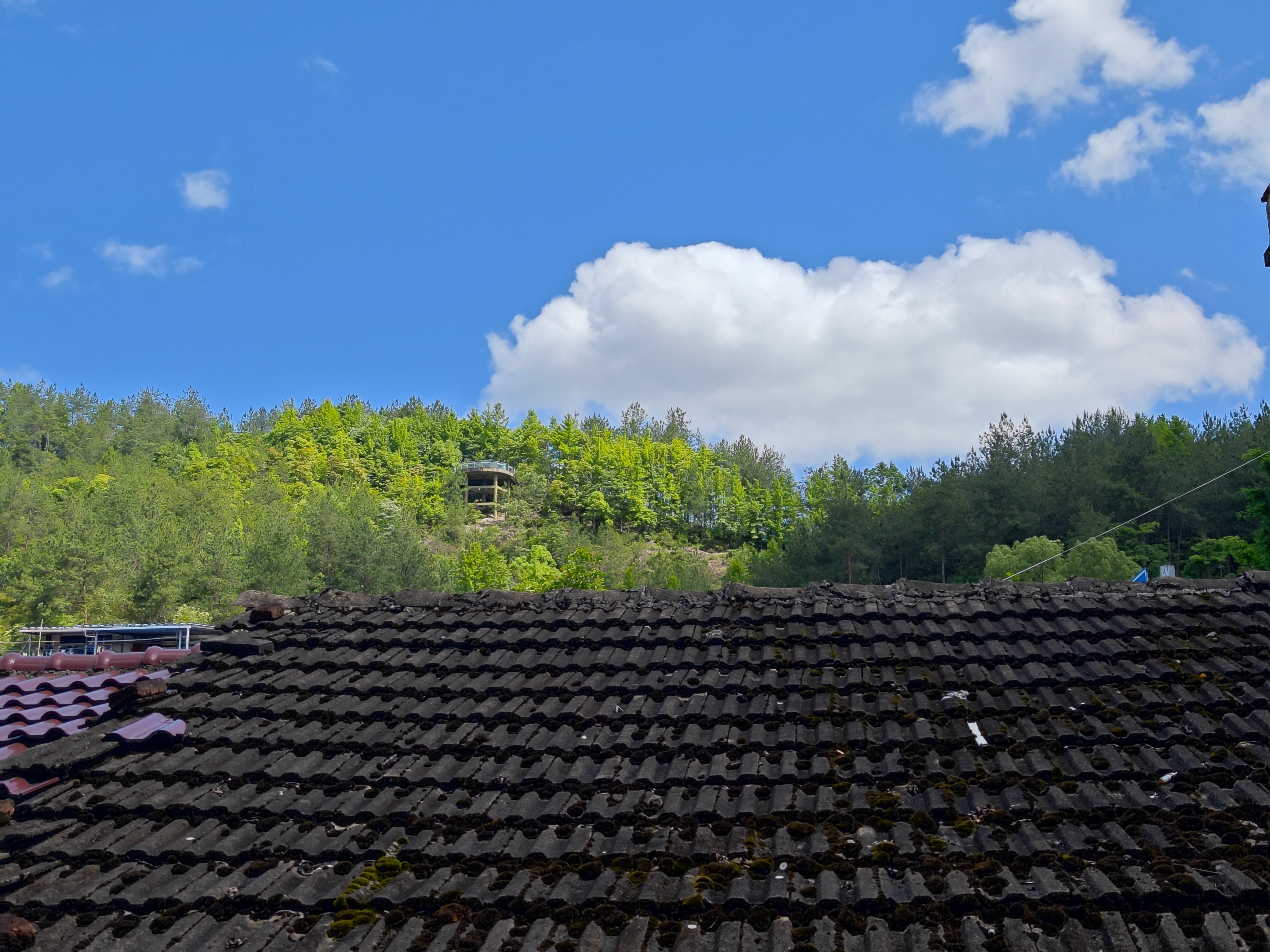 周末天气格外的好，也比较舒服🌞抬头望天空，蓝的不像话街边树木被太阳晒得绿油油的