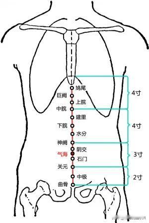 在中医里，人体健康与气血运行密切相关。气血不足或运行不畅会导致各种身体不适。通过