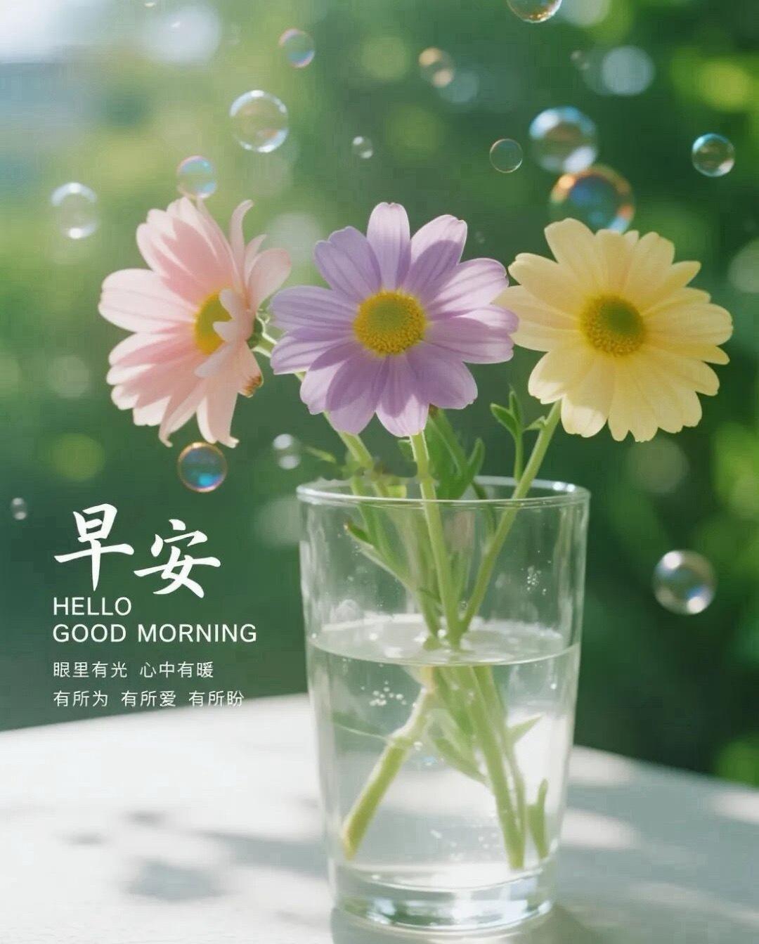 早安～闹钟一响，人生迷茫⏰牛马要去搬砖，早起先来🥣葱油拌面再说，牛马～奥利给岑
