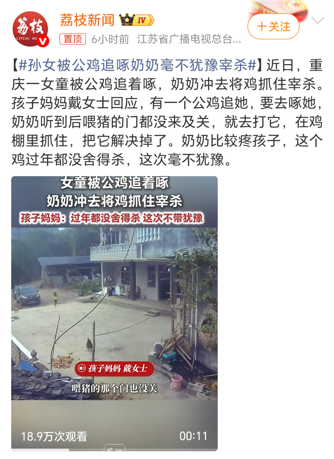 孙女被公鸡追啄奶奶毫不犹豫宰杀这公鸡也是不长眼，得罪谁不好。分不清大小王，被炖了