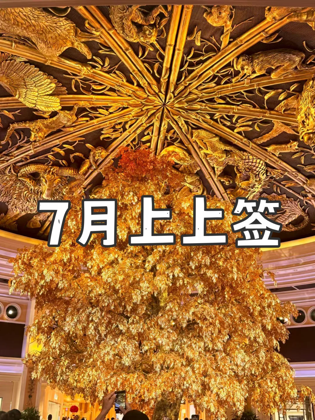 上上签，金碧辉煌的上上签，你来了吗？