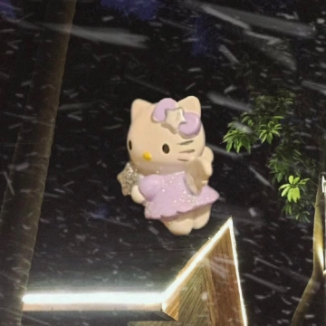 专注拍一拍