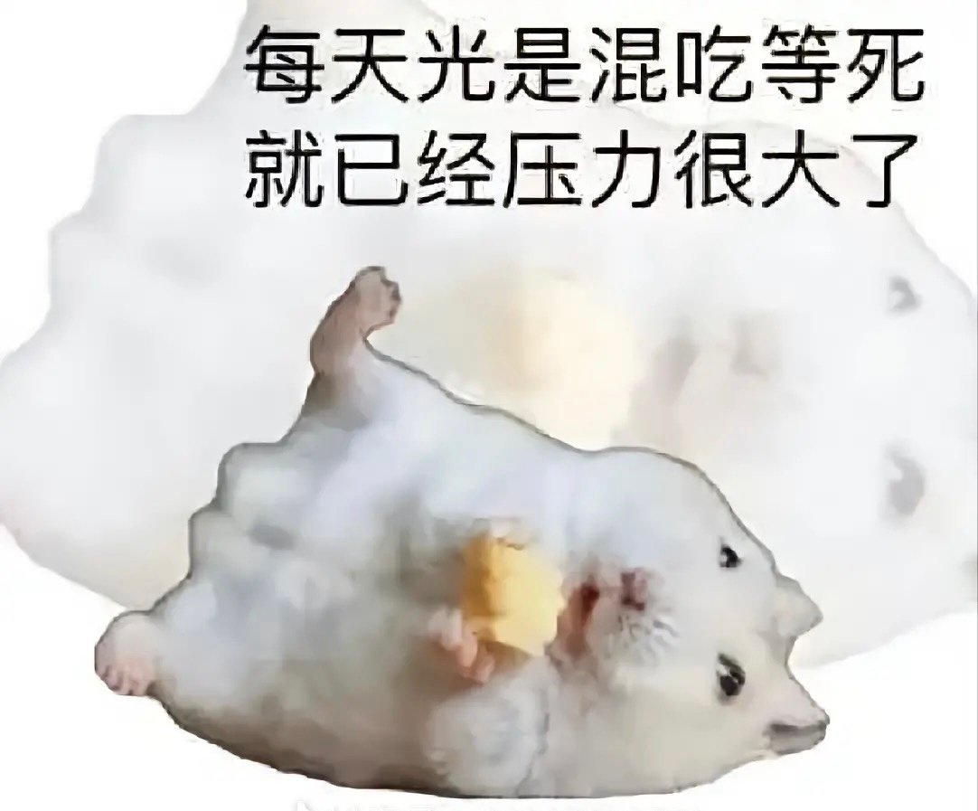 姐妹们！我办了山姆的会员卡！有什么必吃的推荐吗