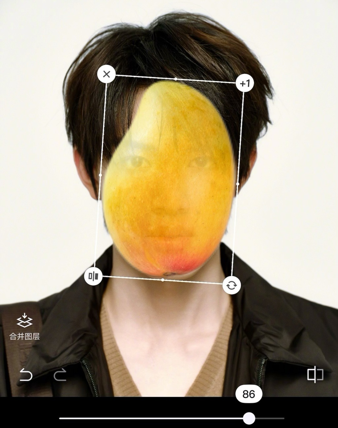 没见过这么纯的芒果了 严丝合缝 