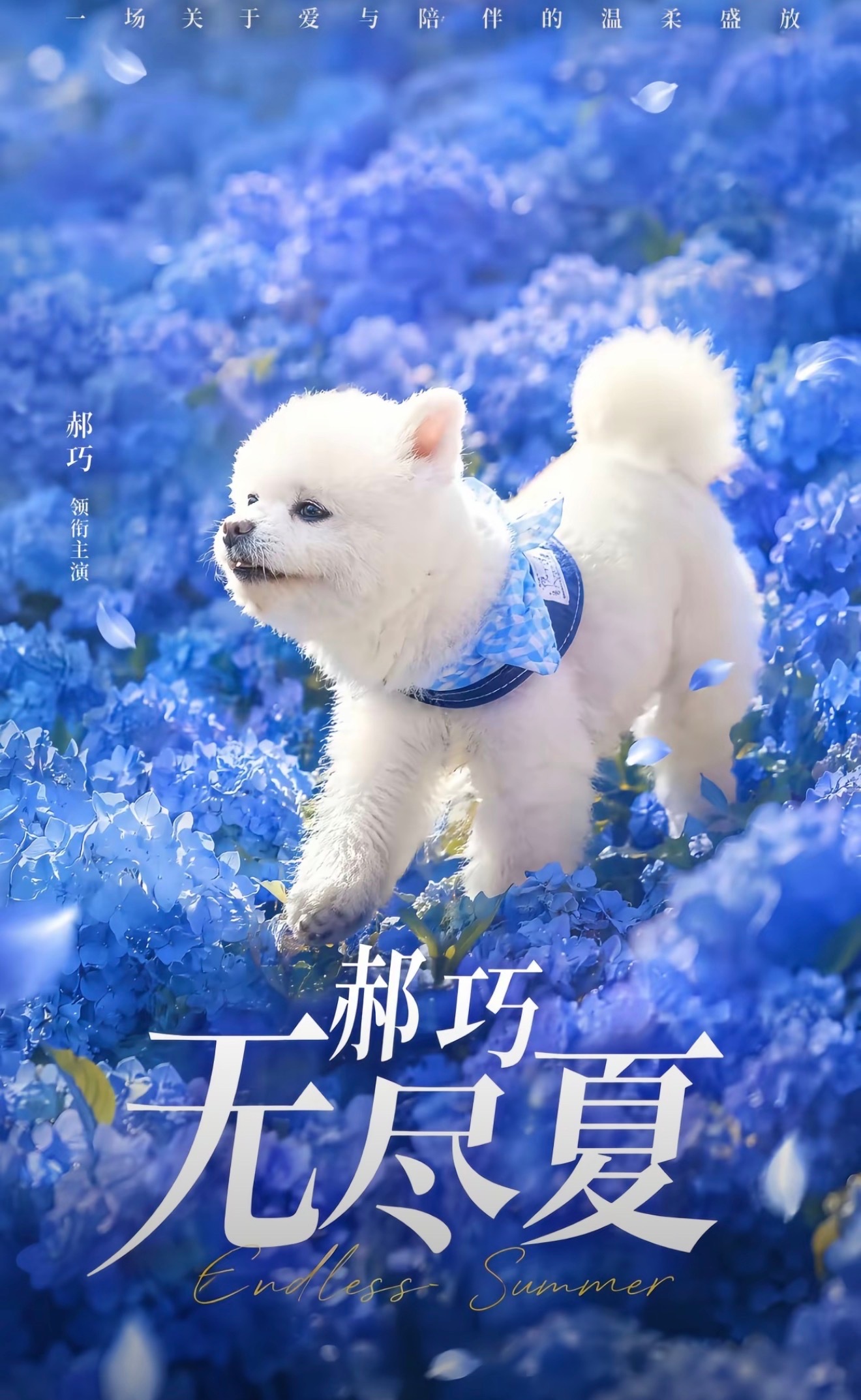 哥哥产出老师真的绝绝子
